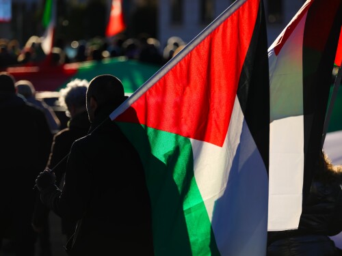 Palestinians carry flags in a march for freedom and independence.