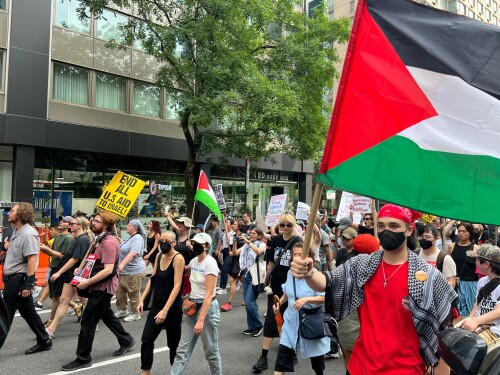 Hundreds of pro-Palestinian activists took the streets of New York City in June 2025.