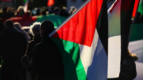 Palestinians carry flags in a march for freedom and independence.