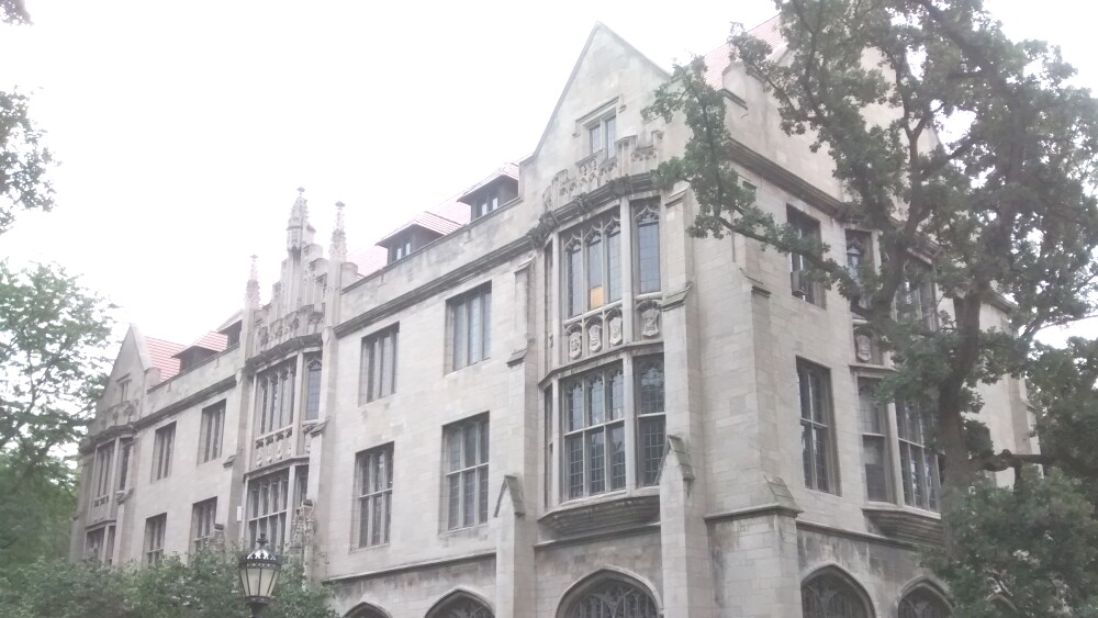 On March 15, 2026, two weeks into the U.S.-Israeli war on Iran’s regime, Alireza Doostdar, an associate professor of Islamic Studies in the Divinity School, told his followers on X that he was reading Yahya Sinwar’s prison novel The Thorn and the Carnation for his course “Liberatory Violence” and found it “remarkable how good it is as sociological commentary.”
