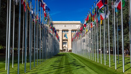 At the U.N. Palace of Nations in Geneva, Francesca Albanese, Special Rapporteur for the Palestinian Territories, claimed that “65,000 is the number of Palestinian Arabs killed with certainty, 75 percent of whom were women and children. But we should start thinking about 680,000, because this is the number some scholars and scientists claim is the true death toll in Gaza.”