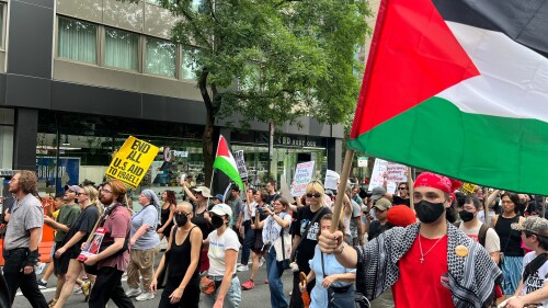 Hundreds of pro-Palestinian activists took the streets of New York City in June 2025.
