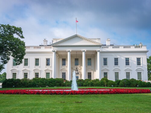 Two Middle East Forum writing fellows have been appointed to senior positions in the administration of President Donald Trump.