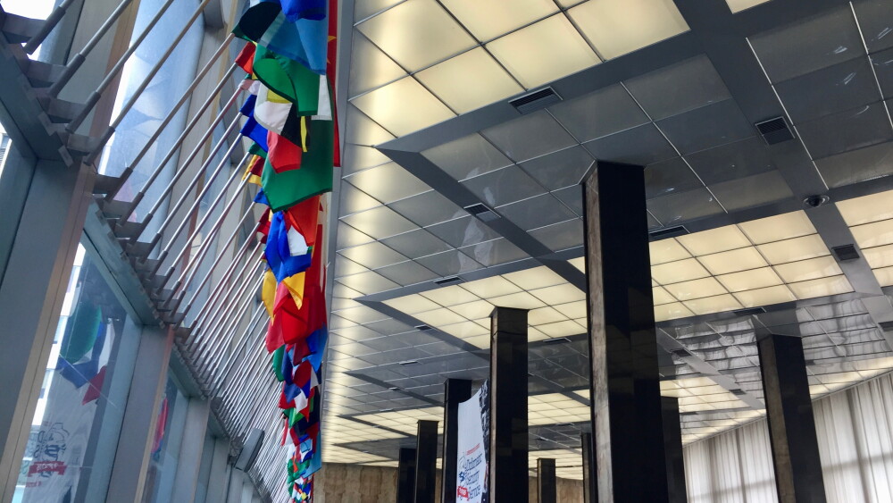 Some past and present diplomats are upset that the State Department has removed the flags of all the countries and territories in which the United States has diplomatic relations, replacing them with American flags. “It’s so much worse than ‘America First,’” former peace processer Aaron David Miller quipped. Image: Flags in the lobby of the U.S. Department of State, Washington, D.C., June 15, 2016.