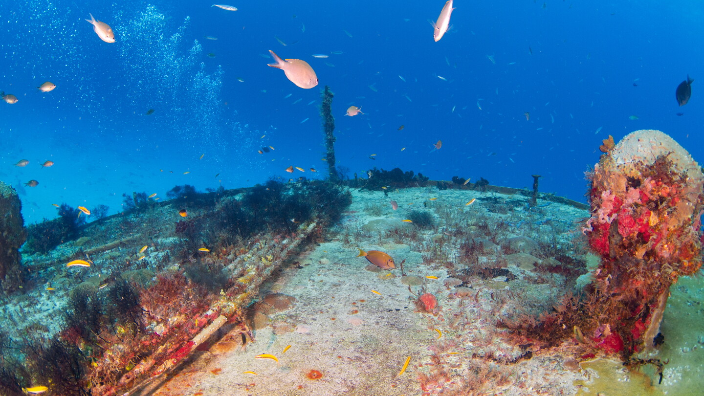 Potential Consequences of Iran Following Through on Its Threats to Cut Undersea Cables Potential Consequences of Iran Following Through on Its Threats to Cut Undersea Cables