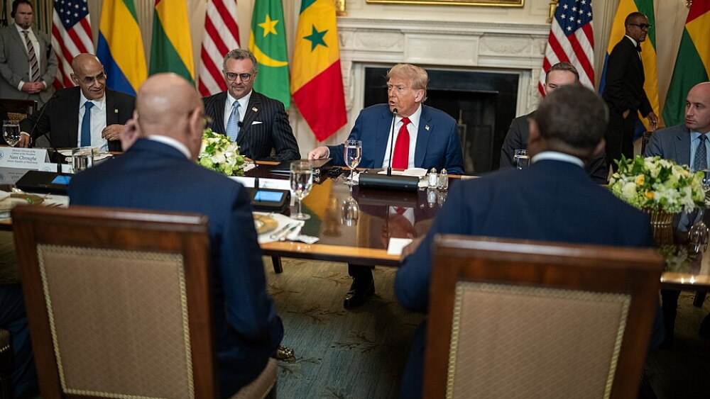 President Donald Trump and U.S. Envoy Massad Boulos, to the left of Trump, meet with African leaders at the White House in July 2025.