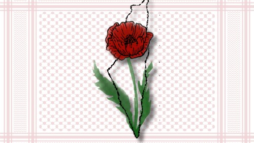 Campuses with Faculty for Justice in Palestine chapters are even worse than those with Students for Justice in Palestine chapters because the professors who operate these quasi-official organizations with impunity will always foment new troubles, spawn new anti-Israel clubs, and wield antisemitism in the name of academic freedom.