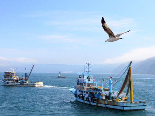 Turkish fishing trawlers on the Bosporus.