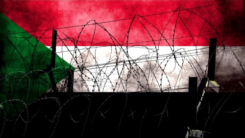 Civil war broke out in Sudan in April 2023 following a power struggle between the army and the paramilitary group, Rapid Support Forces.