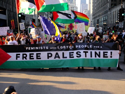 Pro-Palestinian, pro-choice and LGBTQ+ rights activists march in Chicago before the start of the 2024 Democratic National Convention.